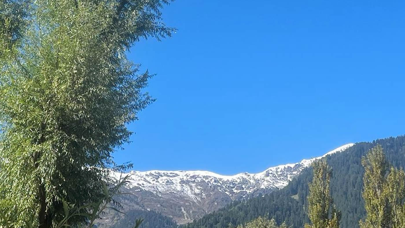 hotel for honymoon in manali, online booking for manali hotel 
